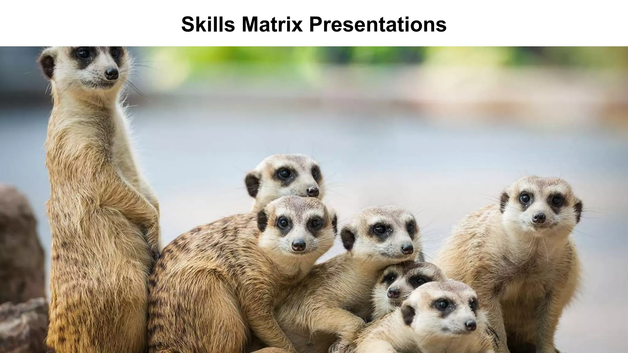 Skills Matrix Presentations
 