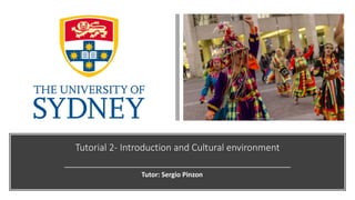 Tutorial 2- Introduction and Cultural environment
Tutor: Sergio Pinzon
 