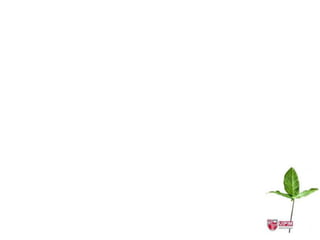 second method
                                  1                   1
       
   a ) x1           
                1 , x2                  
                                      , x3            1
                1                 1
       
    k1 x1       
            k 2 x2     
                    k3 x3         0
            1       1    k1           0
      1             1    k2           0
      1     1            k3           0
                         1        1
   Let A =          1             1 ,
                    1    1
       A     0
                    2
                (       1)    ( 1)(              1)       ( 1)(1   )
                3
                         (     1)         ( 1         )
                3
                              1       1      )
                3
                    3     2
                     1, 2
 
