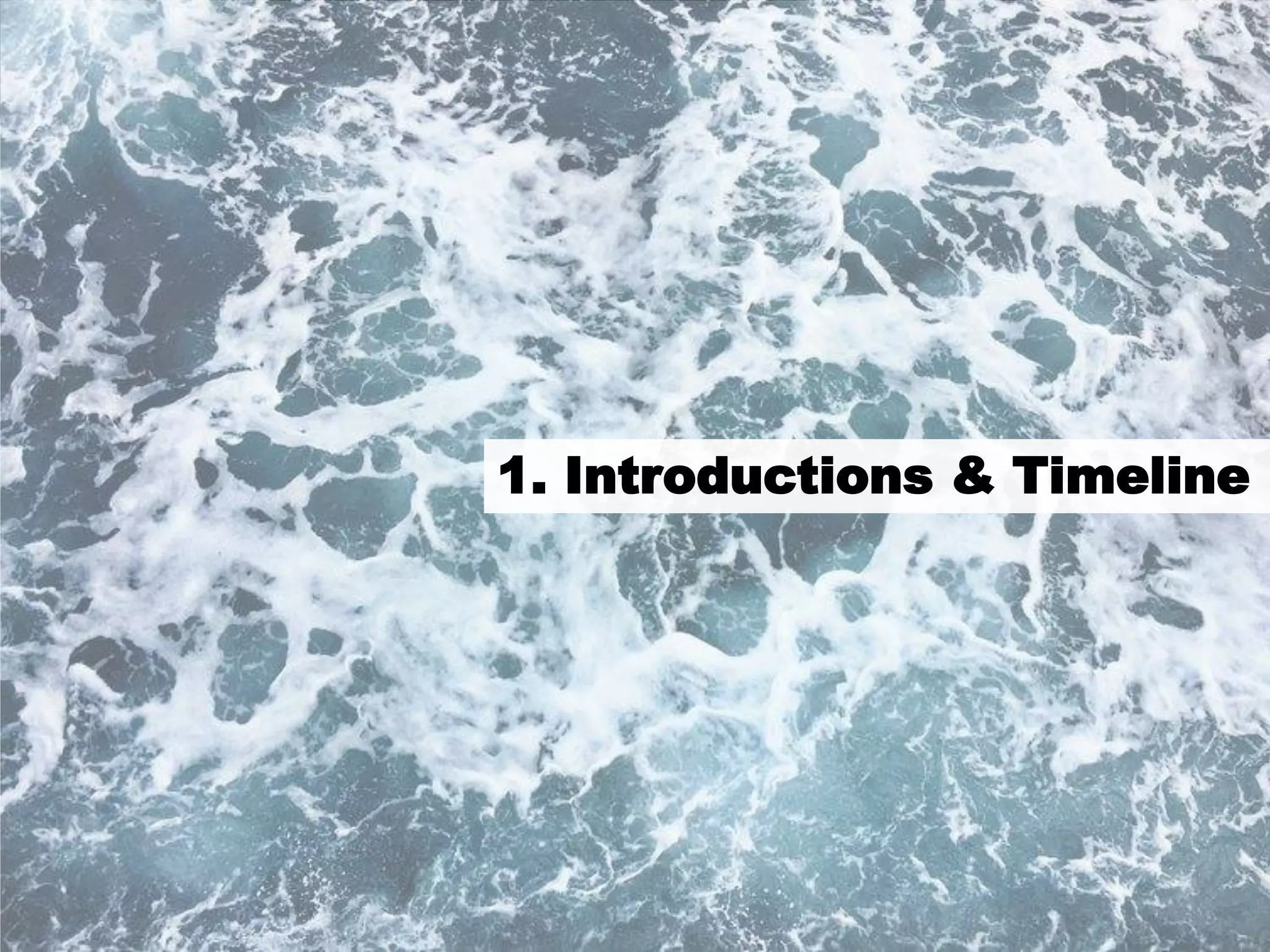 3
1. Introductions & Timeline
 