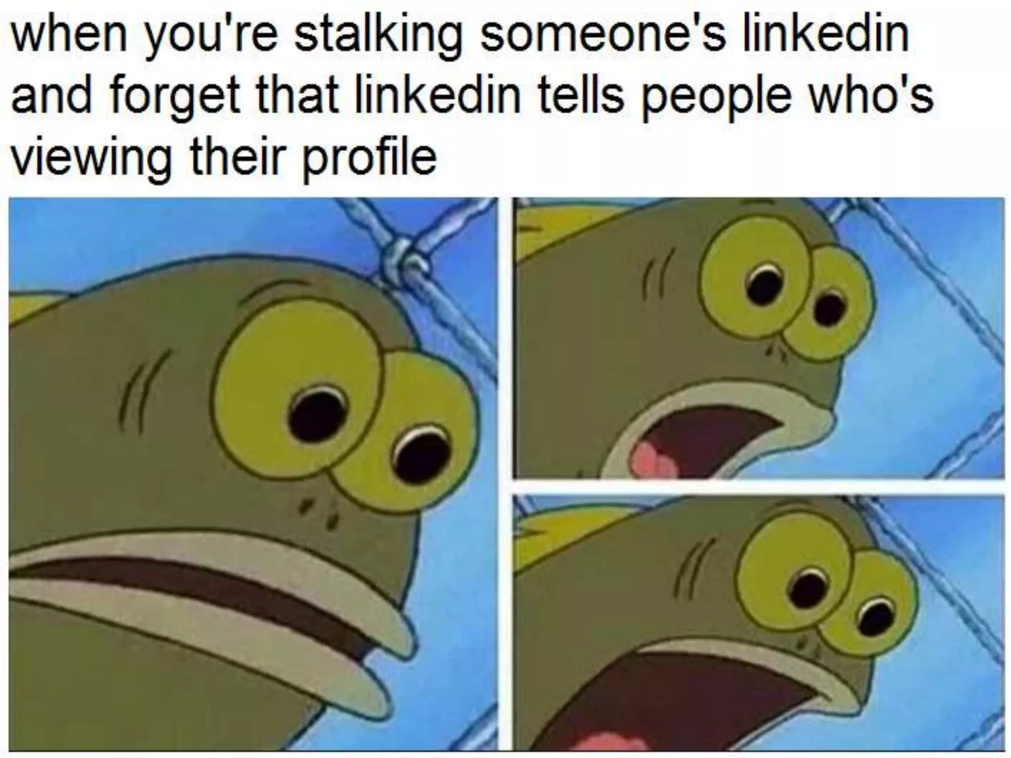 LastModified2017-06-2110:13PMPacificStandardTimePrinted
10
 