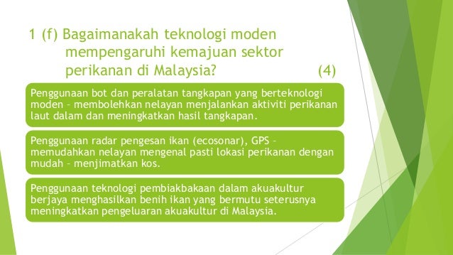 SEKTOR PERIKANAN