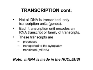 Tutorial 4 - Transcription and Translation.ppt