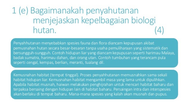 SEKTOR PERHUTANAN