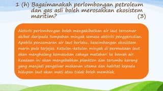 1 (h) Bagaimanakah perlombongan petroleum
dan gas asli boleh merosakkan ekosistem
maritim? (3)
Aktiviti perlombongan boleh mengakibatkan air laut tercemar
akibat daripada tumpahan minyak semasa aktiviti penggerudian.
Apabila pencemaran air laut berlaku, keseimbangan ekosistem
marin pula terjejas. Ketulan-ketulan minyak di permukaan laut
akan menghalang kemasukan cahaya matahari ke bawah air.
Keadaan ini akan menyebabkan plankton dan terumbu karang
yang menjadi pengeluar makanan utama dan habitat kepada
hidupan laut akan mati atau tidak boleh membiak.
 