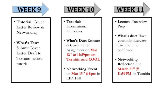 tutorial 5 term 2 cover letter peer review networking cover letter tutorial