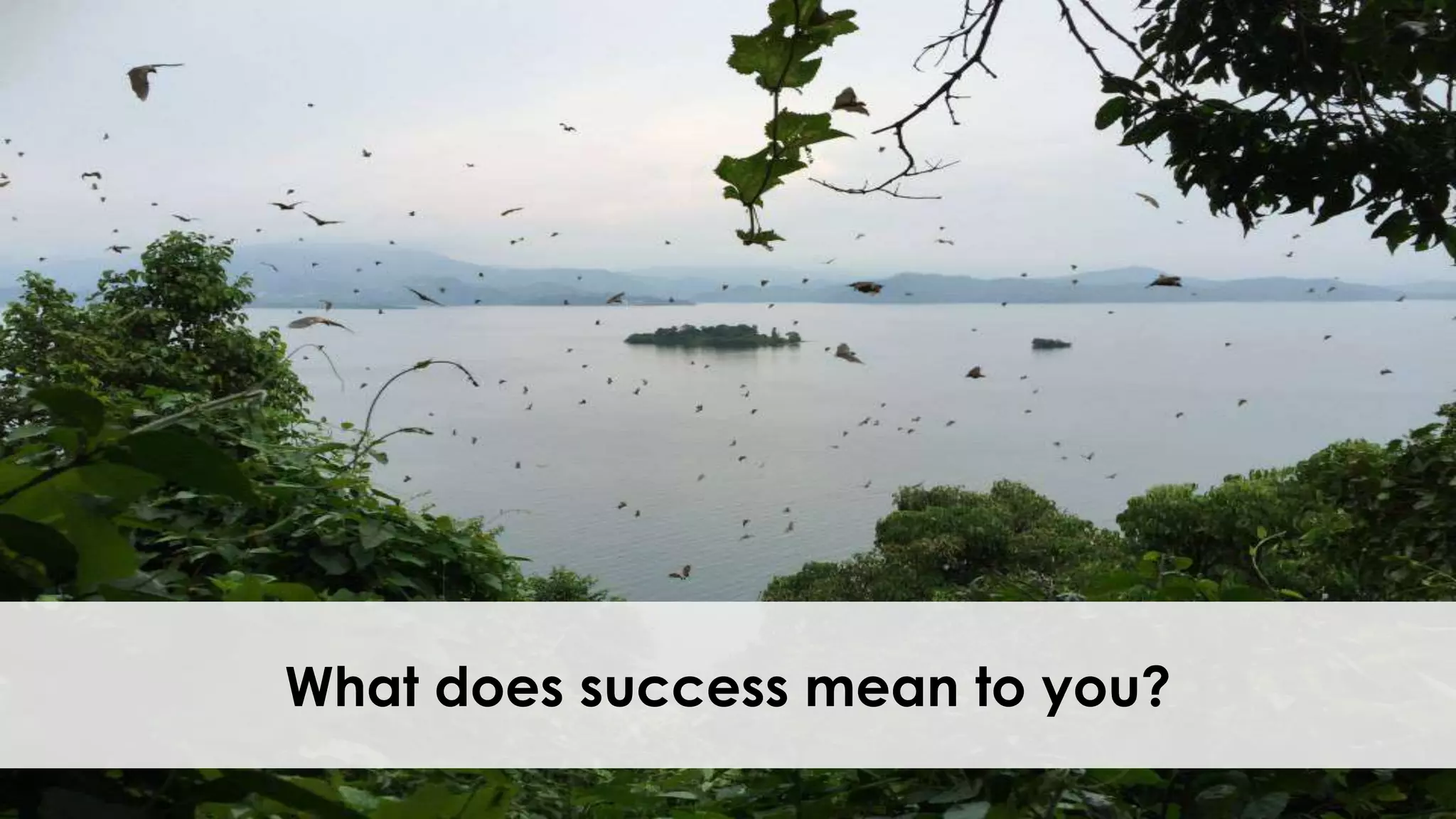 What does success mean to you?
 