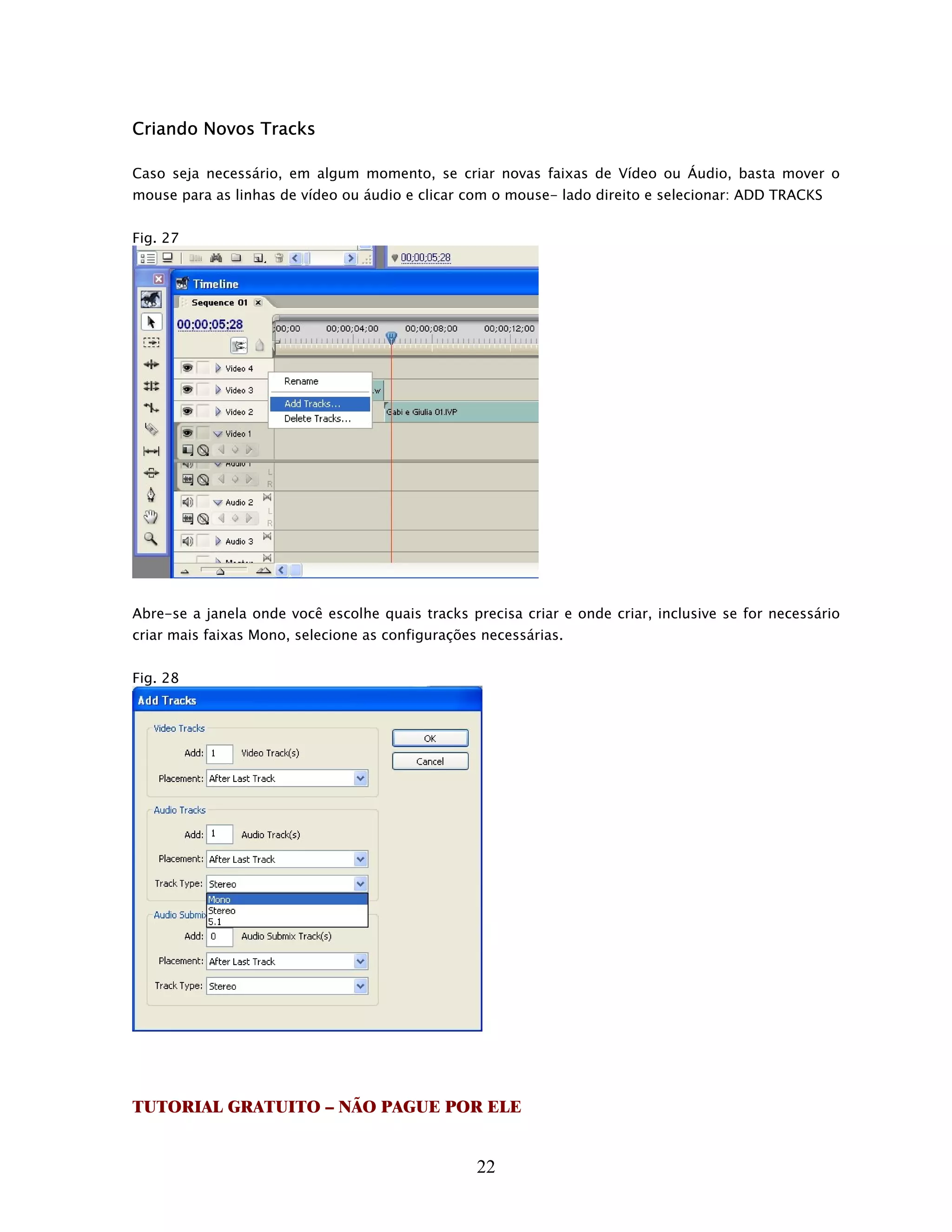 Criando Novos Tracks

Caso seja necessário, em algum momento, se criar novas faixas de Vídeo ou Áudio, basta mover o
mouse para as linhas de vídeo ou áudio e clicar com o mouse- lado direito e selecionar: ADD TRACKS


Fig. 27




Abre-se a janela onde você escolhe quais tracks precisa criar e onde criar, inclusive se for necessário
criar mais faixas Mono, selecione as configurações necessárias.


Fig. 28




TUTORIAL GRATUITO – NÃO PAGUE POR ELE


                                                  22
 