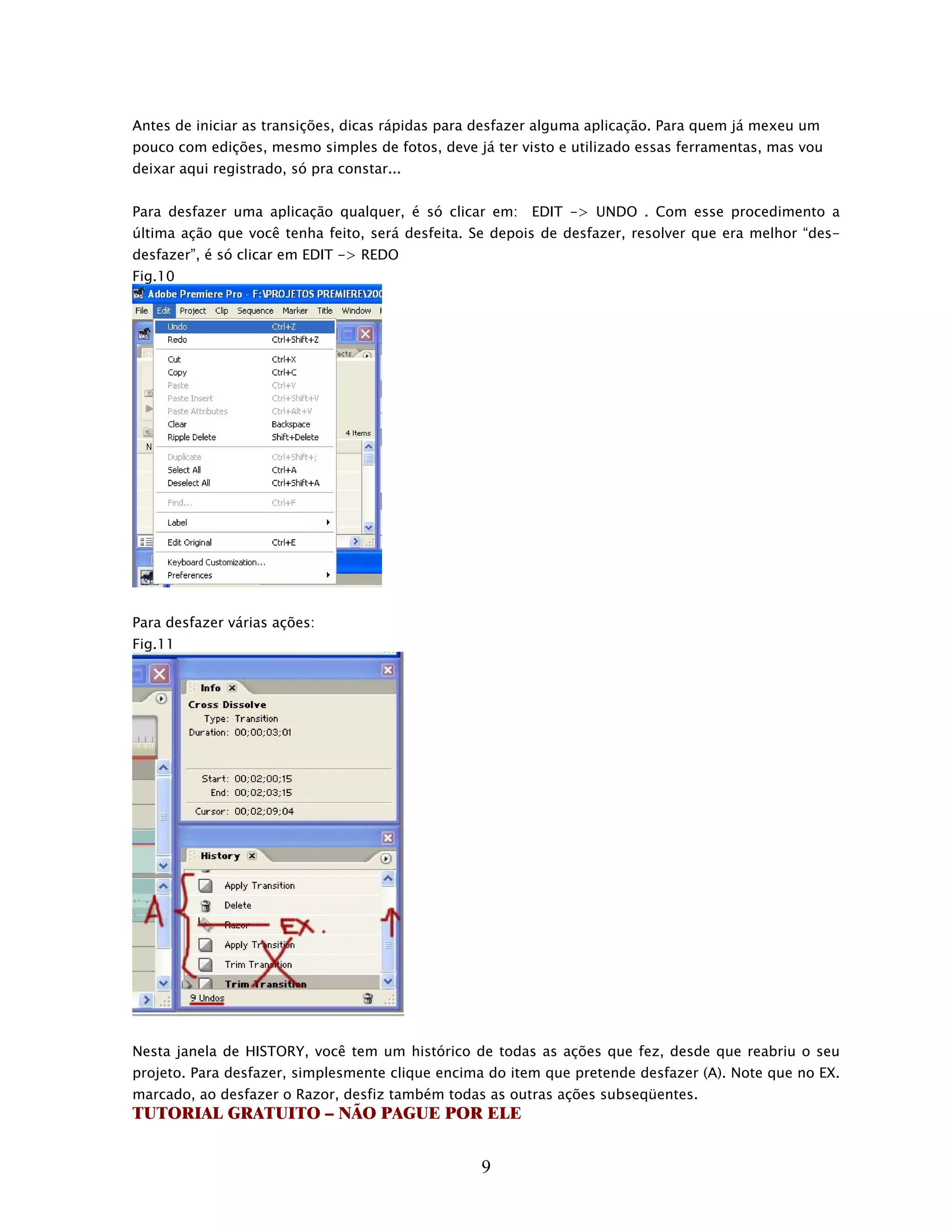 Antes de iniciar as transições, dicas rápidas para desfazer alguma aplicação. Para quem já mexeu um
pouco com edições, mesmo simples de fotos, deve já ter visto e utilizado essas ferramentas, mas vou
deixar aqui registrado, só pra constar...


Para desfazer uma aplicação qualquer, é só clicar em: EDIT -> UNDO . Com esse procedimento a
última ação que você tenha feito, será desfeita. Se depois de desfazer, resolver que era melhor “des-
desfazer”, é só clicar em EDIT -> REDO
Fig.10




Para desfazer várias ações:
Fig.11




Nesta janela de HISTORY, você tem um histórico de todas as ações que fez, desde que reabriu o seu
projeto. Para desfazer, simplesmente clique encima do item que pretende desfazer (A). Note que no EX.
marcado, ao desfazer o Razor, desfiz também todas as outras ações subseqüentes.
TUTORIAL GRATUITO – NÃO PAGUE POR ELE


                                                  9
 