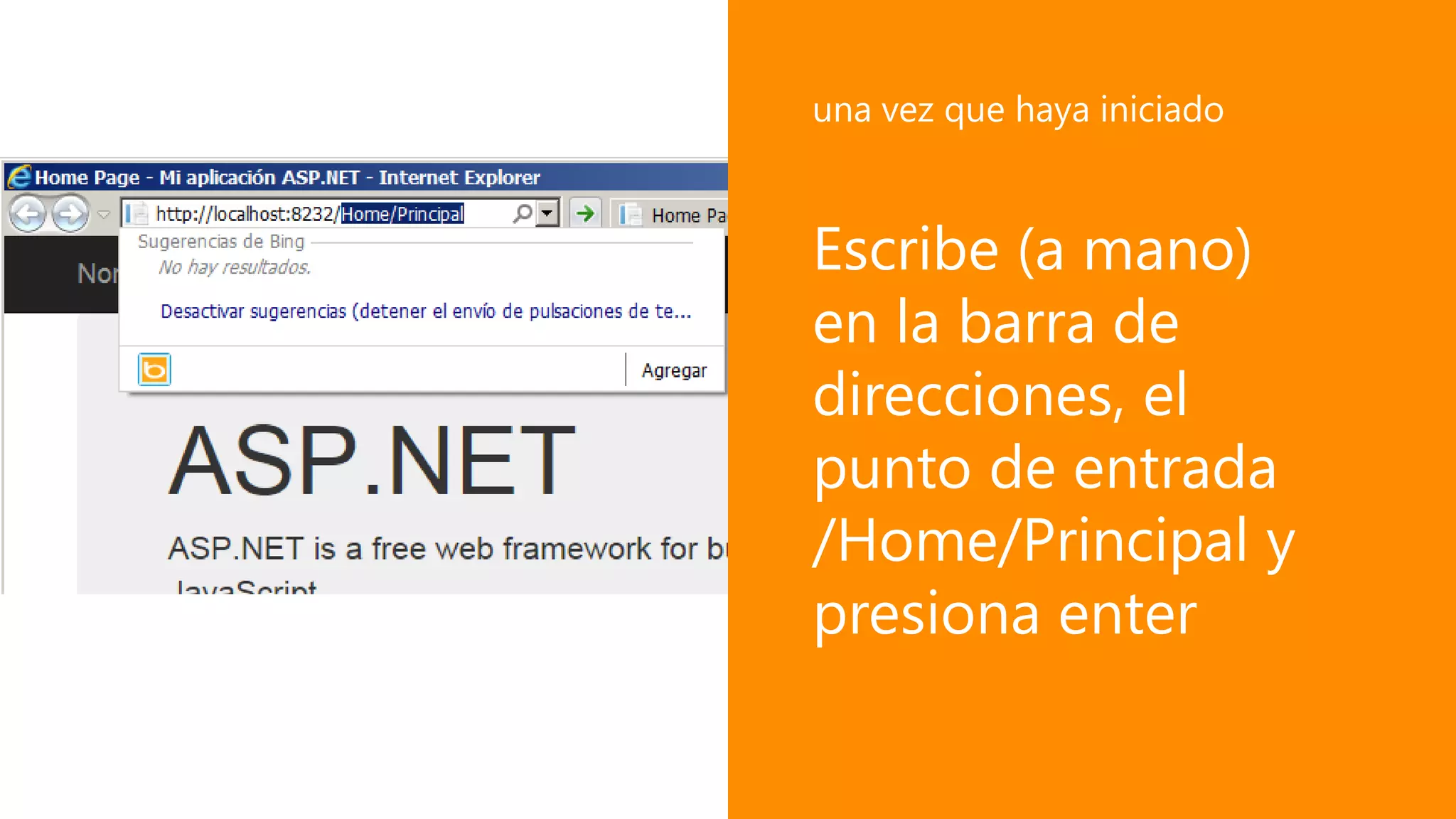 Escribe (a mano)
en la barra de
direcciones, el
punto de entrada
/Home/Principal y
presiona enter
una vez que haya iniciado
 