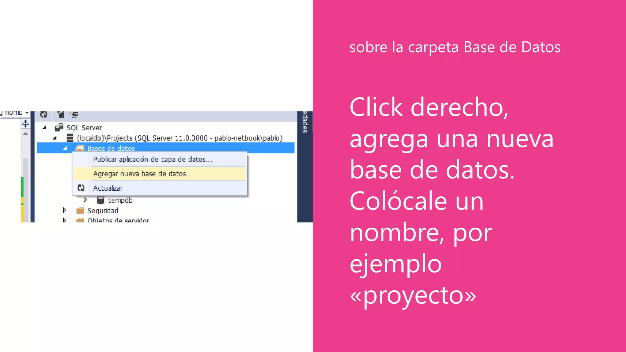 Click derecho,
agrega una nueva
base de datos.
Colócale un
nombre, por
ejemplo
«proyecto»
sobre la carpeta Base de Datos
 