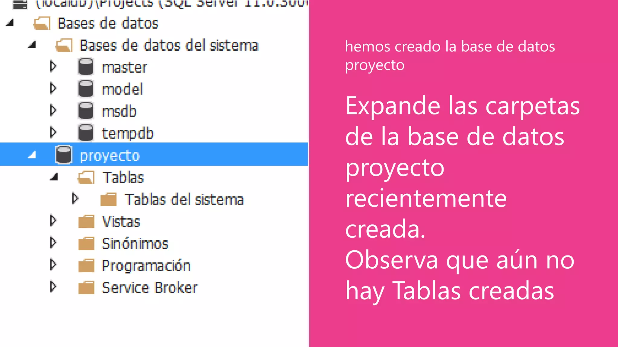 Expande las carpetas
de la base de datos
proyecto
recientemente
creada.
Observa que aún no
hay Tablas creadas
hemos creado la base de datos
proyecto
 