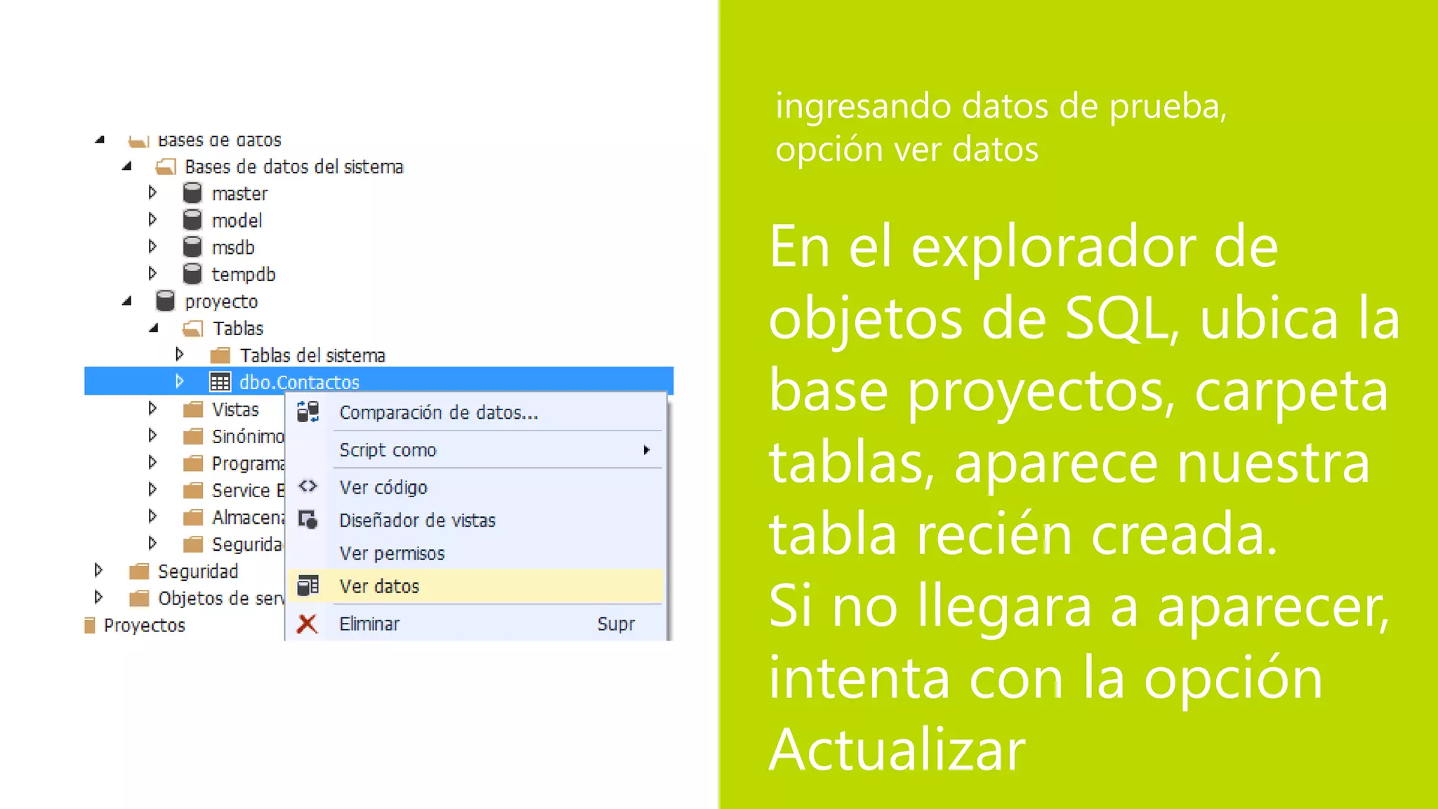 En el explorador de
objetos de SQL, ubica la
base proyectos, carpeta
tablas, aparece nuestra
tabla recién creada.
Si no llegara a aparecer,
intenta con la opción
Actualizar
ingresando datos de prueba,
opción ver datos
 