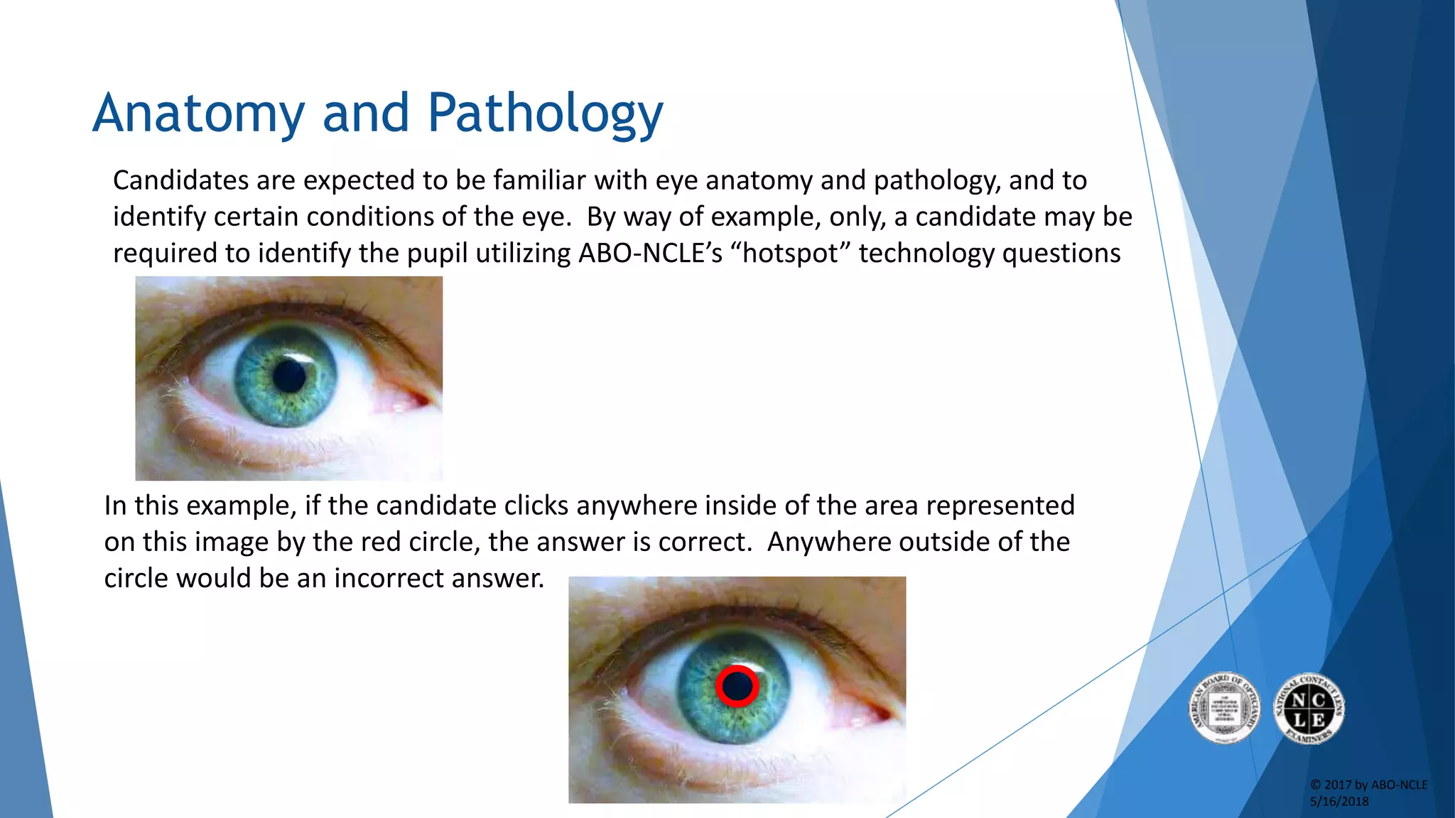 ABO & NCLE Practical Exam Slideshow Tutorial | PPTX