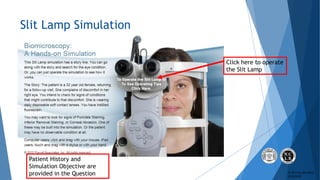 ABO & NCLE Practical Exam Slideshow Tutorial | PPTX