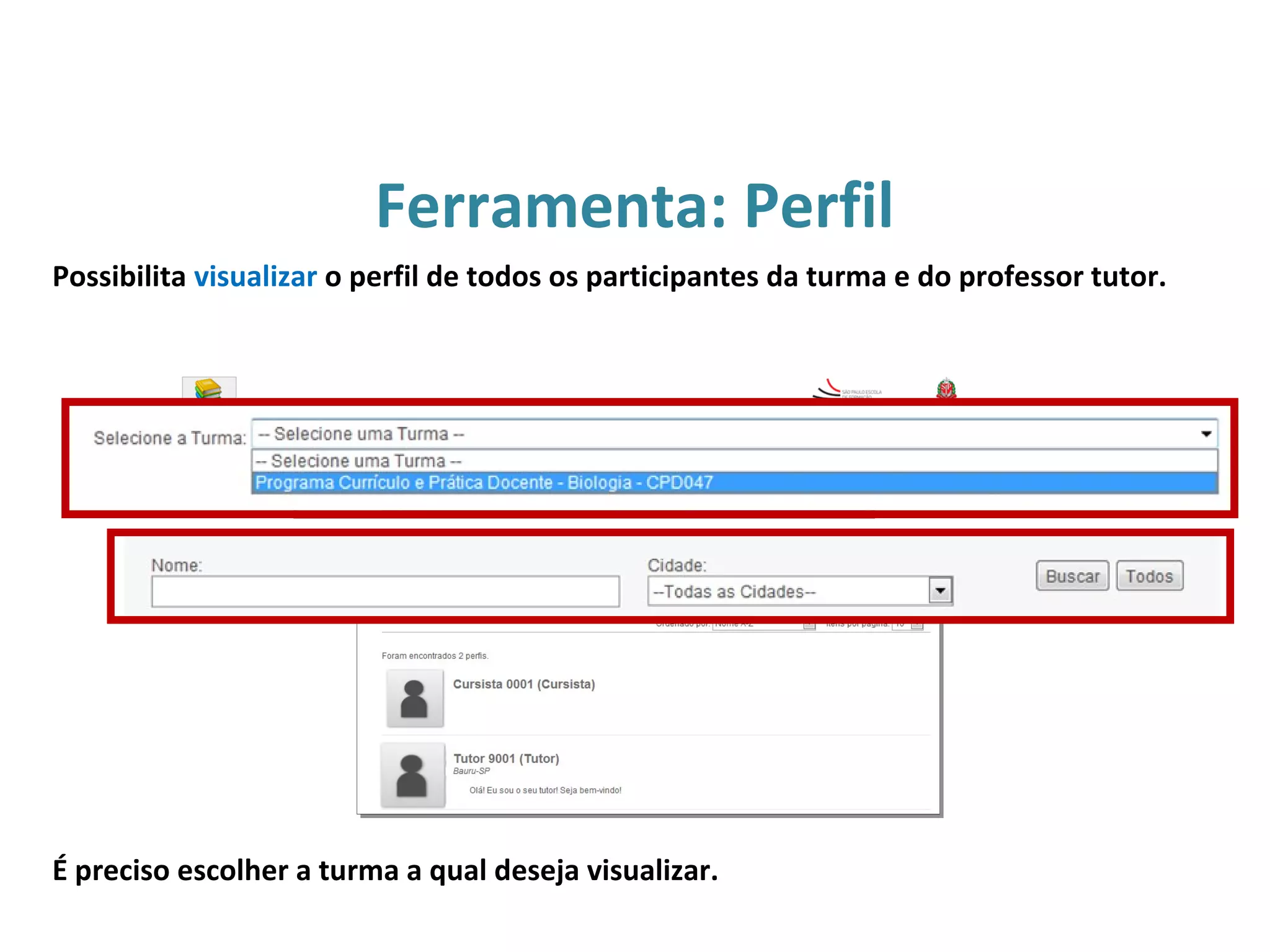 É preciso escolher a turma a qual deseja visualizar.
Ferramenta: Perfil
Possibilita visualizar o perfil de todos os participantes da turma e do professor tutor.
 