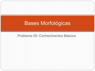 Problema 05: Conhecimentos Básicos
Bases Morfológicas
 