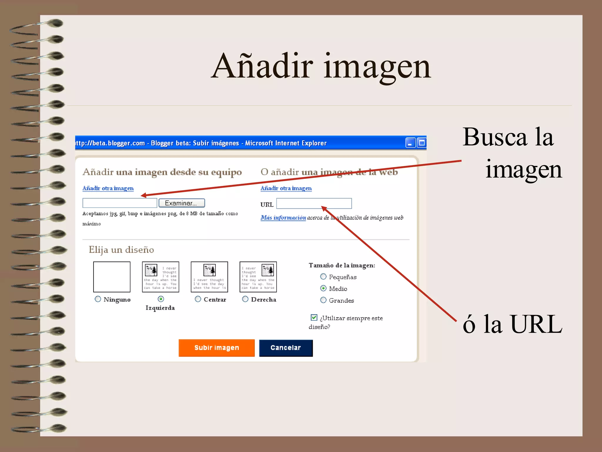 Añadir imagen
                Busca la
                 imagen




                ó la URL
 
