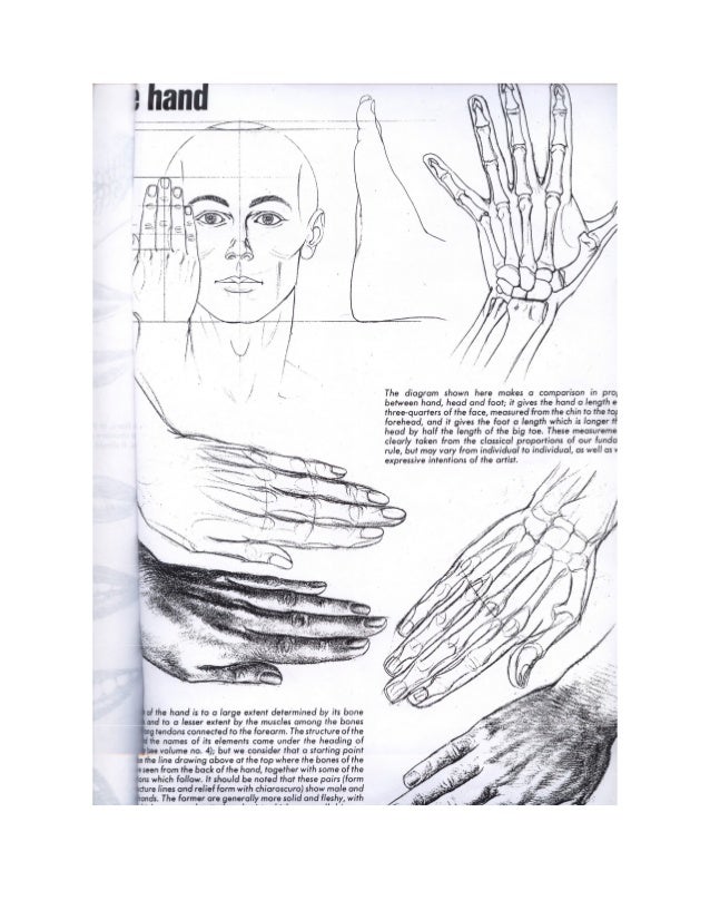 Tutorial cara  menggambar  tangan 
