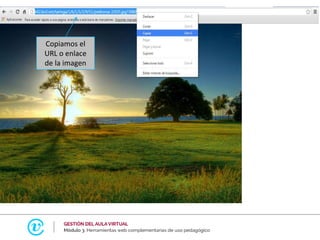 Copiamos el
URL o enlace
de la imagen
 