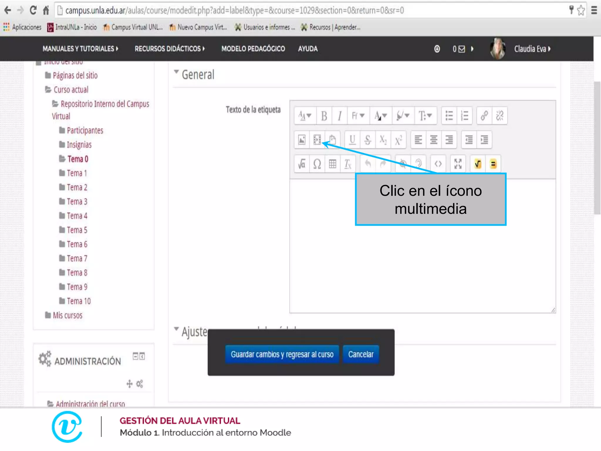 Clic en el ícono
multimedia