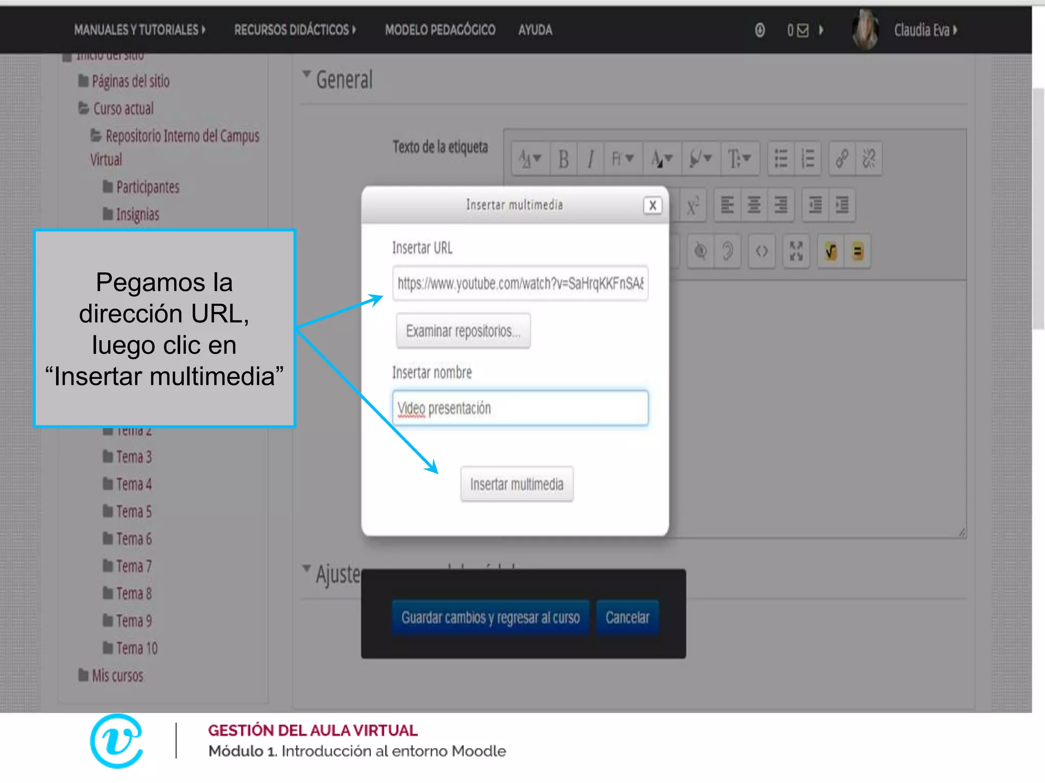 Pegamos la
dirección URL,
luego clic en
“Insertar multimedia”