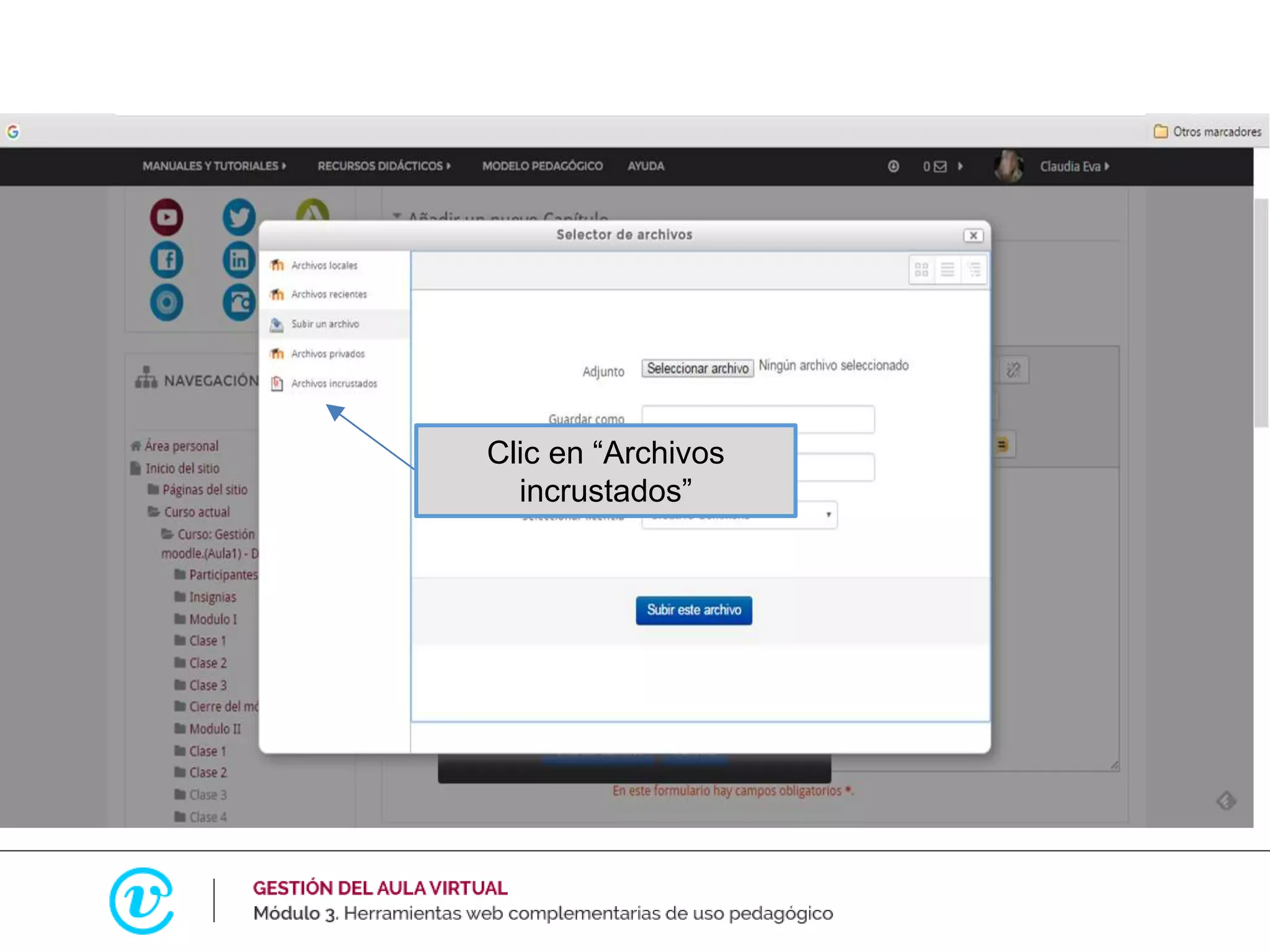 Clic en “Archivos
incrustados”