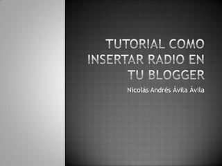 Nicolás Andrés Ávila Ávila