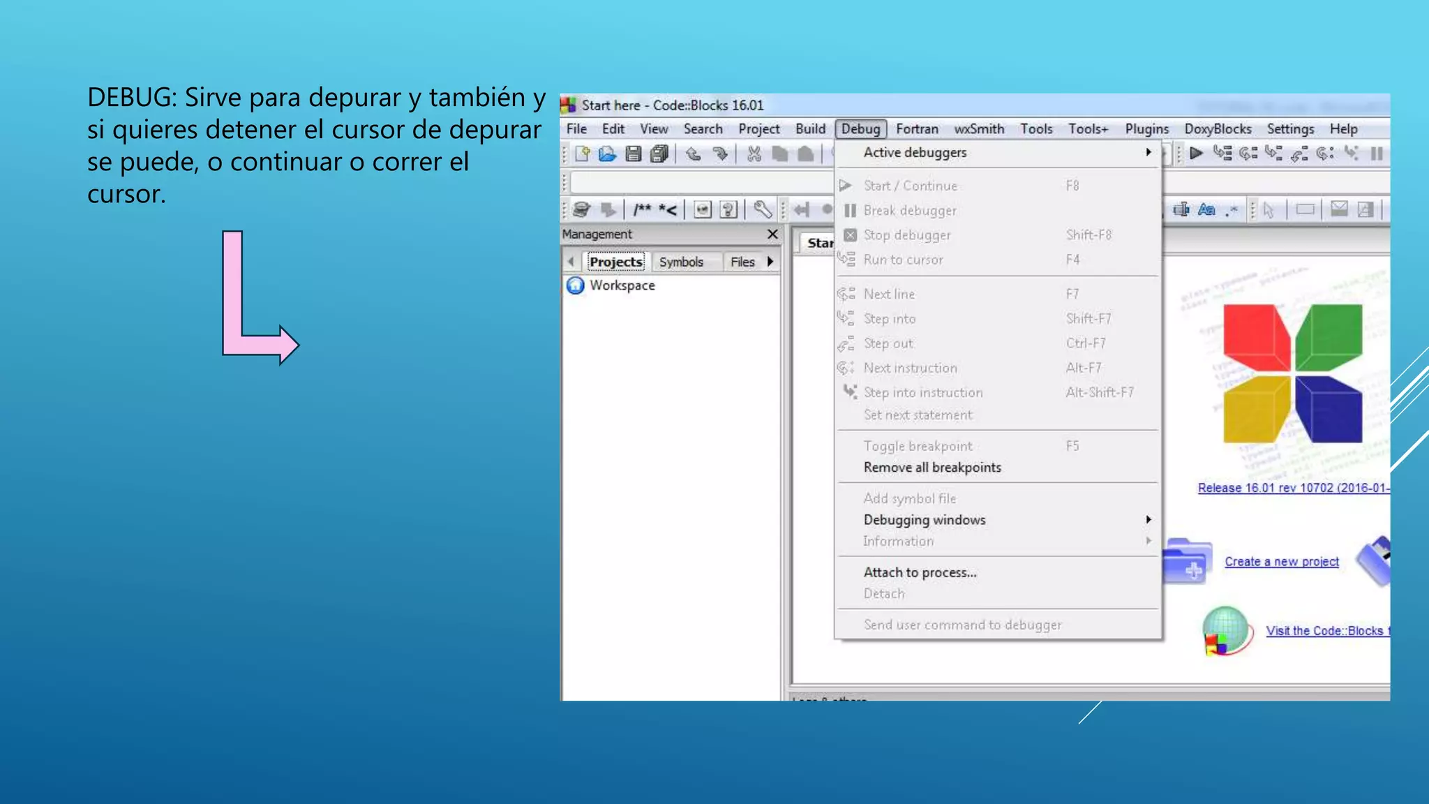 DEBUG: Sirve para depurar y también y
si quieres detener el cursor de depurar
se puede, o continuar o correr el
cursor.
 