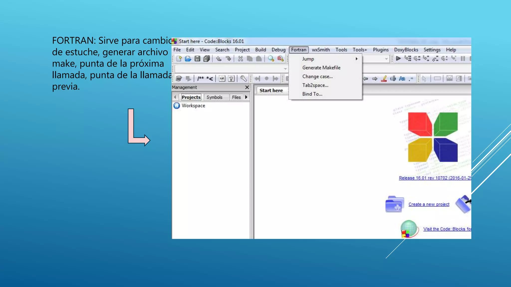 FORTRAN: Sirve para cambio
de estuche, generar archivo
make, punta de la próxima
llamada, punta de la llamada
previa.
 