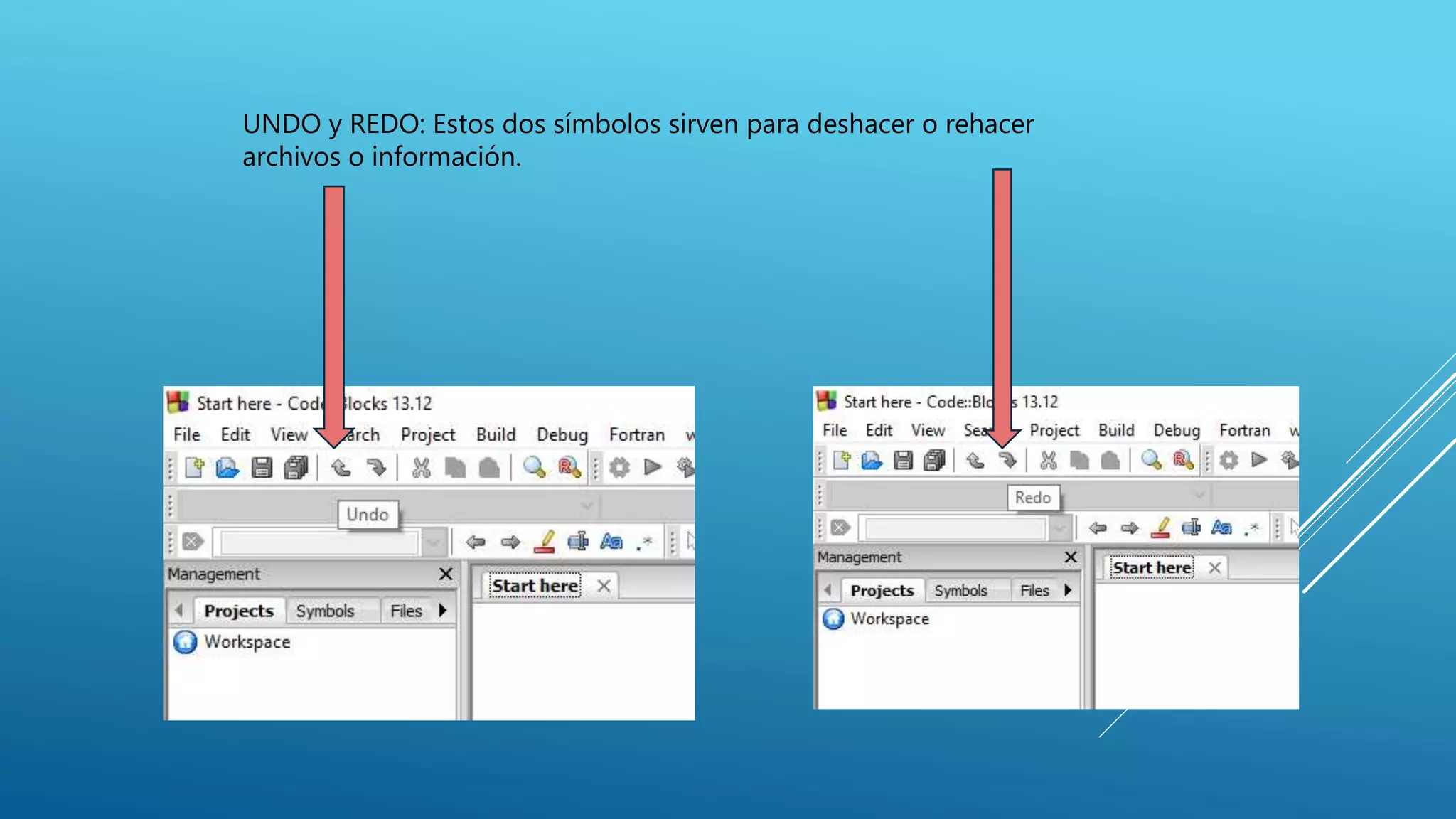 UNDO y REDO: Estos dos símbolos sirven para deshacer o rehacer
archivos o información.
 