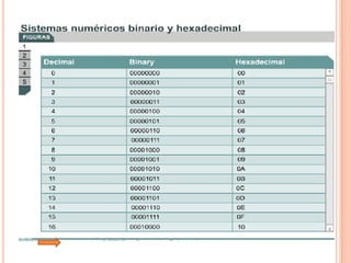 Tutorial De Comunicacion De Datos