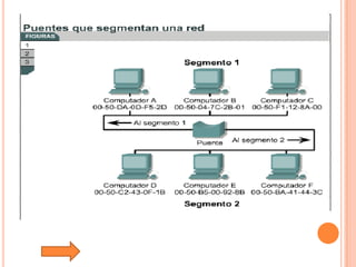 Tutorial De Comunicacion De Datos