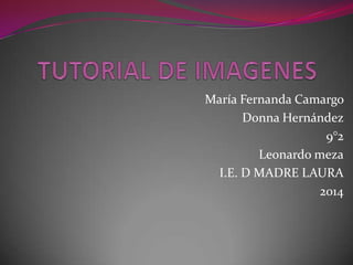 María Fernanda Camargo
Donna Hernández
9°2
Leonardo meza
I.E. D MADRE LAURA
2014

 
