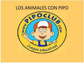 LOS ANIMALES CON PIPO
 