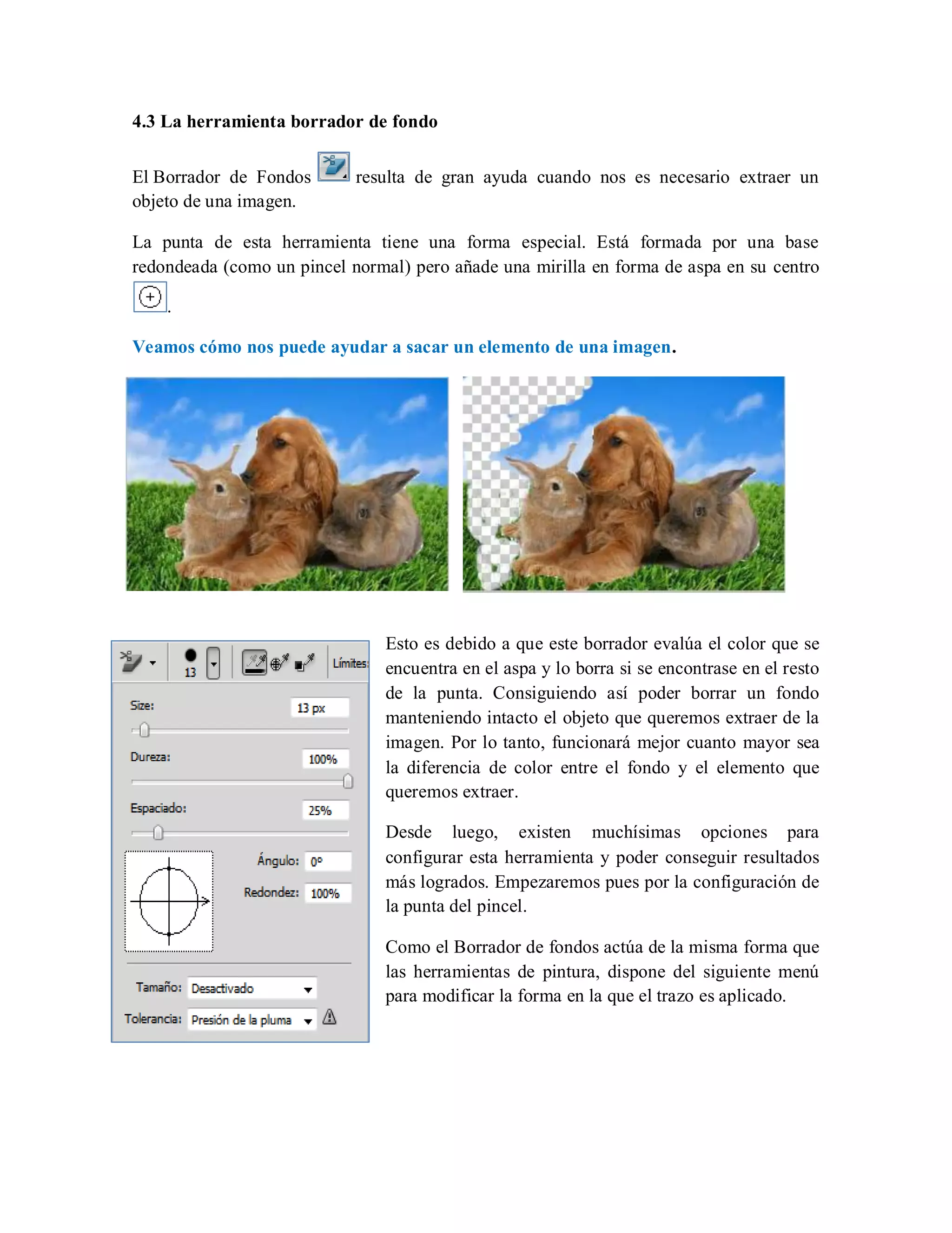 4.3 La herramienta borrador de fondo
El Borrador de Fondos resulta de gran ayuda cuando nos es necesario extraer un
objeto de una imagen.
La punta de esta herramienta tiene una forma especial. Está formada por una base
redondeada (como un pincel normal) pero añade una mirilla en forma de aspa en su centro
.
Veamos cómo nos puede ayudar a sacar un elemento de una imagen.
Esto es debido a que este borrador evalúa el color que se
encuentra en el aspa y lo borra si se encontrase en el resto
de la punta. Consiguiendo así poder borrar un fondo
manteniendo intacto el objeto que queremos extraer de la
imagen. Por lo tanto, funcionará mejor cuanto mayor sea
la diferencia de color entre el fondo y el elemento que
queremos extraer.
Desde luego, existen muchísimas opciones para
configurar esta herramienta y poder conseguir resultados
más logrados. Empezaremos pues por la configuración de
la punta del pincel.
Como el Borrador de fondos actúa de la misma forma que
las herramientas de pintura, dispone del siguiente menú
para modificar la forma en la que el trazo es aplicado.
 
