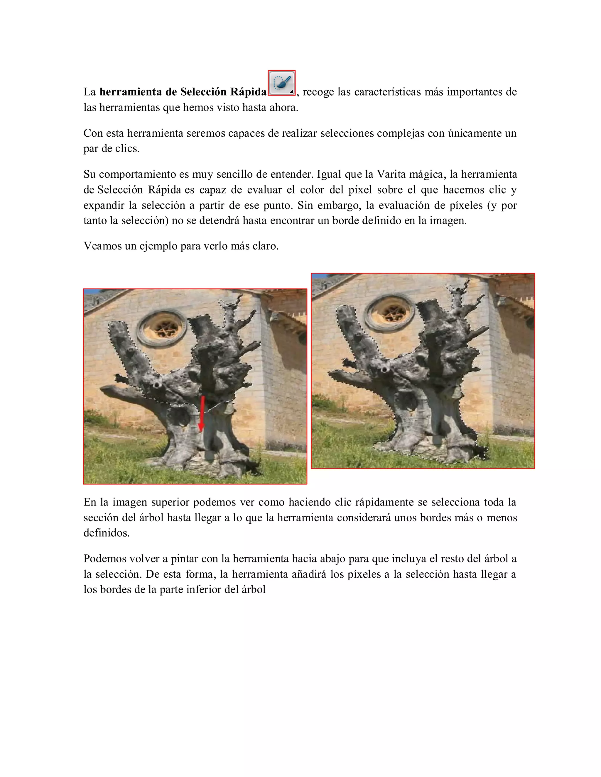 La herramienta de Selección Rápida , recoge las características más importantes de
las herramientas que hemos visto hasta ahora.
Con esta herramienta seremos capaces de realizar selecciones complejas con únicamente un
par de clics.
Su comportamiento es muy sencillo de entender. Igual que la Varita mágica, la herramienta
de Selección Rápida es capaz de evaluar el color del píxel sobre el que hacemos clic y
expandir la selección a partir de ese punto. Sin embargo, la evaluación de píxeles (y por
tanto la selección) no se detendrá hasta encontrar un borde definido en la imagen.
Veamos un ejemplo para verlo más claro.
En la imagen superior podemos ver como haciendo clic rápidamente se selecciona toda la
sección del árbol hasta llegar a lo que la herramienta considerará unos bordes más o menos
definidos.
Podemos volver a pintar con la herramienta hacia abajo para que incluya el resto del árbol a
la selección. De esta forma, la herramienta añadirá los píxeles a la selección hasta llegar a
los bordes de la parte inferior del árbol
 