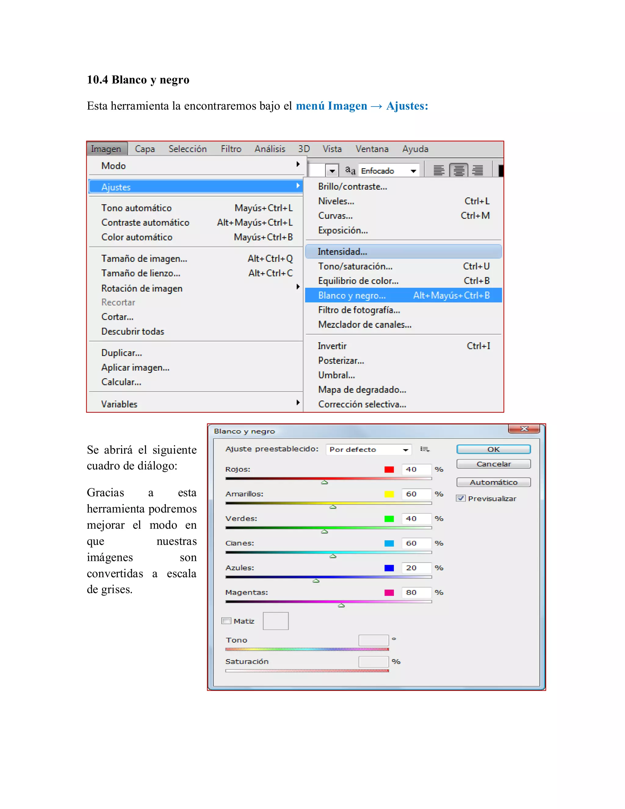 10.4 Blanco y negro
Esta herramienta la encontraremos bajo el menú Imagen → Ajustes:
Se abrirá el siguiente
cuadro de diálogo:
Gracias a esta
herramienta podremos
mejorar el modo en
que nuestras
imágenes son
convertidas a escala
de grises.
 