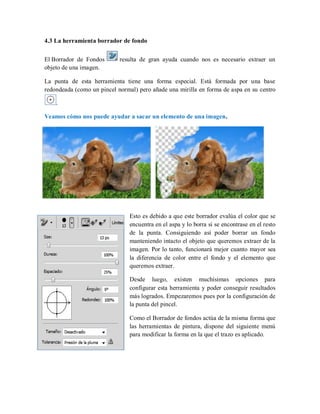 4.3 La herramienta borrador de fondo
El Borrador de Fondos resulta de gran ayuda cuando nos es necesario extraer un
objeto de una imagen.
La punta de esta herramienta tiene una forma especial. Está formada por una base
redondeada (como un pincel normal) pero añade una mirilla en forma de aspa en su centro
.
Veamos cómo nos puede ayudar a sacar un elemento de una imagen.
Esto es debido a que este borrador evalúa el color que se
encuentra en el aspa y lo borra si se encontrase en el resto
de la punta. Consiguiendo así poder borrar un fondo
manteniendo intacto el objeto que queremos extraer de la
imagen. Por lo tanto, funcionará mejor cuanto mayor sea
la diferencia de color entre el fondo y el elemento que
queremos extraer.
Desde luego, existen muchísimas opciones para
configurar esta herramienta y poder conseguir resultados
más logrados. Empezaremos pues por la configuración de
la punta del pincel.
Como el Borrador de fondos actúa de la misma forma que
las herramientas de pintura, dispone del siguiente menú
para modificar la forma en la que el trazo es aplicado.
 