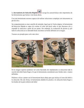 La herramienta de Selección Rápida , recoge las características más importantes de
las herramientas que hemos visto hasta ahora.
Con esta herramienta seremos capaces de realizar selecciones complejas con únicamente un
par de clics.
Su comportamiento es muy sencillo de entender. Igual que la Varita mágica, la herramienta
de Selección Rápida es capaz de evaluar el color del píxel sobre el que hacemos clic y
expandir la selección a partir de ese punto. Sin embargo, la evaluación de píxeles (y por
tanto la selección) no se detendrá hasta encontrar un borde definido en la imagen.
Veamos un ejemplo para verlo más claro.
En la imagen superior podemos ver como haciendo clic rápidamente se selecciona toda la
sección del árbol hasta llegar a lo que la herramienta considerará unos bordes más o menos
definidos.
Podemos volver a pintar con la herramienta hacia abajo para que incluya el resto del árbol a
la selección. De esta forma, la herramienta añadirá los píxeles a la selección hasta llegar a
los bordes de la parte inferior del árbol
 