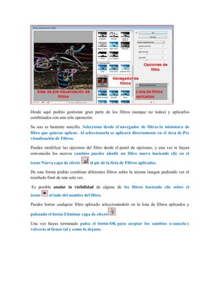 Desde aquí podrás gestionar gran parte de los filtros (aunque no todos) y aplicarlos
combinados con una sola operación.
Su uso es bastante sencillo. Selecciona desde el navegador de filtros la miniatura de
filtro que quieras aplicar. Al seleccionarla se aplicará directamente en el área de Pre
visualización de Filtros.
Puedes modificar las opciones del filtro desde el panel de opciones, y una vez te hayan
convencido los nuevos cambios puedes añadir un filtro nuevo haciendo clic en el
icono Nueva capa de efecto al pie de la lista de Filtros aplicados.
De esta forma podrás combinar diferentes filtros sobre la misma imagen pudiendo ver el
resultado final de una sola vez.
Es posible anular la visibilidad de alguno de los filtros haciendo clic sobre el
icono al lado del nombre del filtro.
Puedes borrar cualquier filtro aplicado seleccionándolo en la lista de filtros aplicados y
pulsando el botón Eliminar capa de efecto .
Una vez hayas terminado pulsa el botón OK para aceptar los cambios o cancela y
volverás al lienzo tal y como lo dejaste.
 