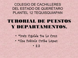COLEGIO DE CACHILLERES
DEL ESTADO DE QUERÉTARO
PLANTEL 12 TEQUISQUIAPAN
TURORIAL DE PUESTOS
Y DEPARTAMENTOS.
• *Irais Ugalde De La Cruz
• *Ilse Fabiola Uribe López
• 3.2
 