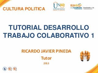CULTURA POLITICA
TUTORIAL DESARROLLO
TRABAJO COLABORATIVO 1
RICARDO JAVIER PINEDA
Tutor
2013
 