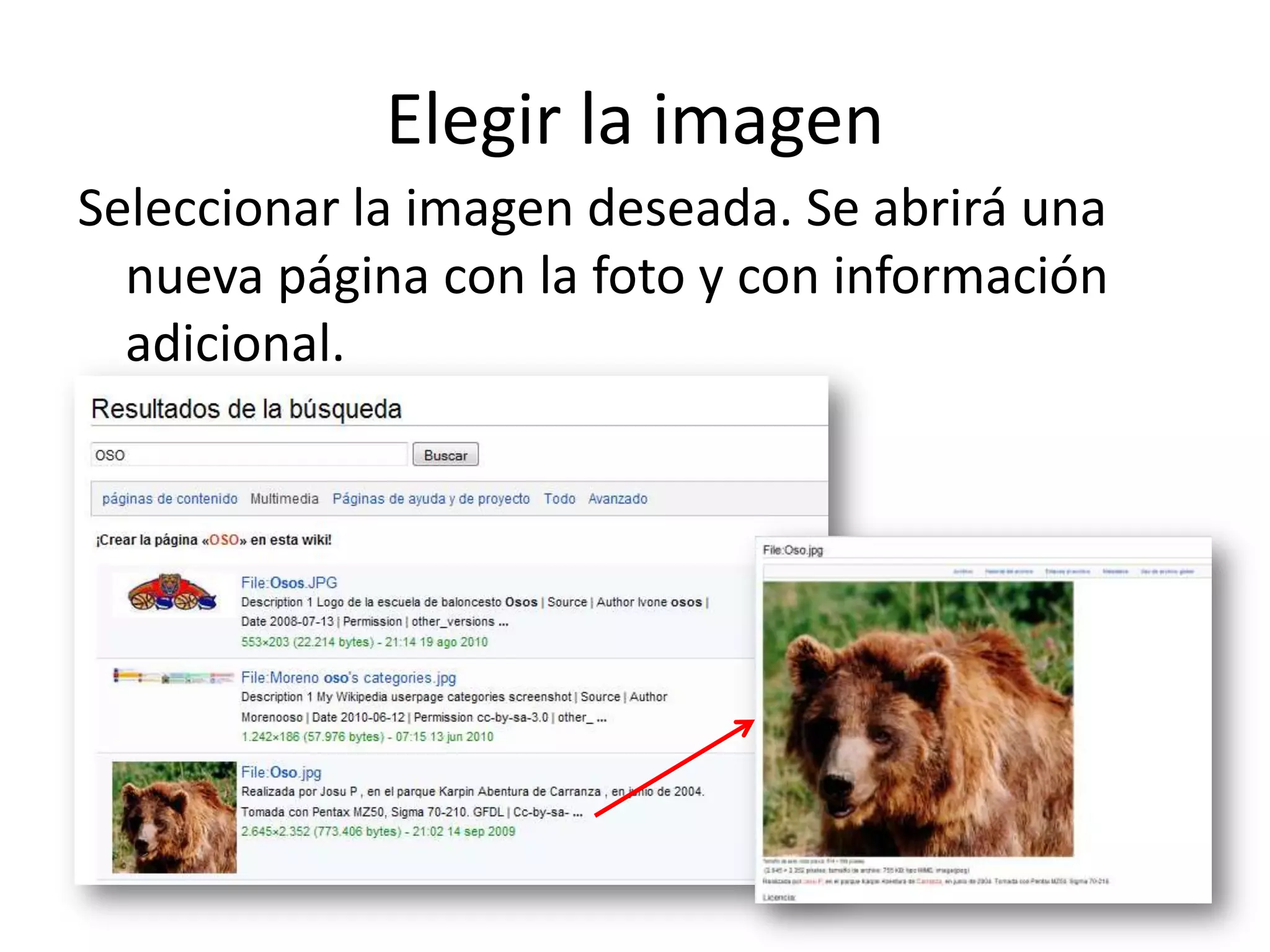 Elegir la imagen
Seleccionar la imagen deseada. Se abrirá una
nueva página con la foto y con información
adicional.
 