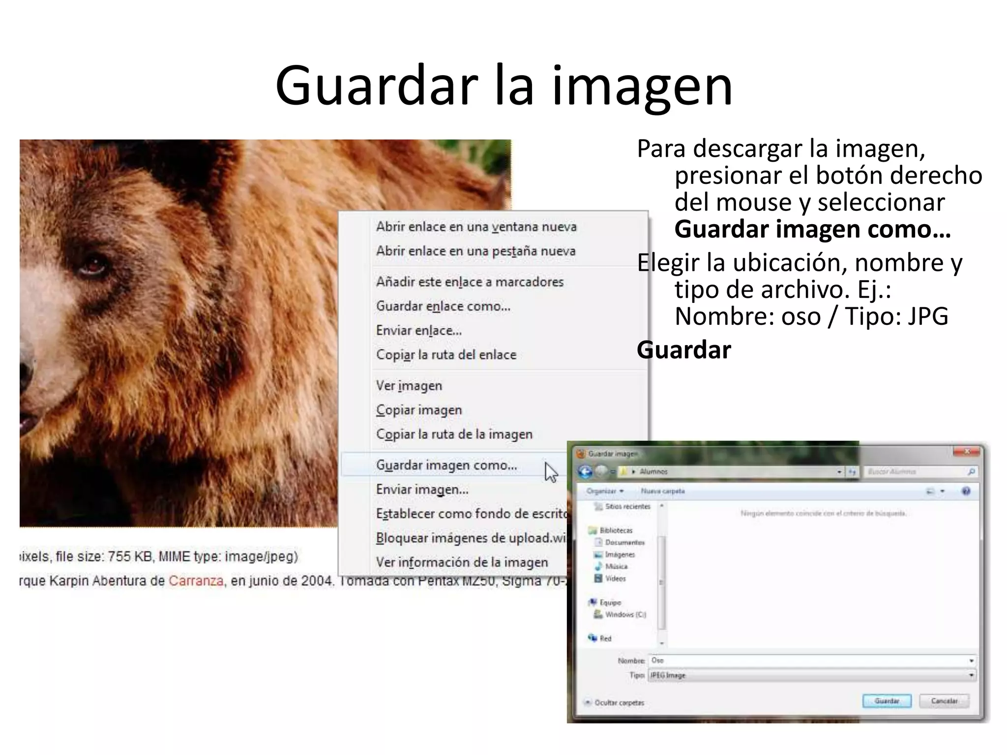 Guardar la imagen
Para descargar la imagen,
presionar el botón derecho
del mouse y seleccionar
Guardar imagen como…
Elegir la ubicación, nombre y
tipo de archivo. Ej.:
Nombre: oso / Tipo: JPG
Guardar
 