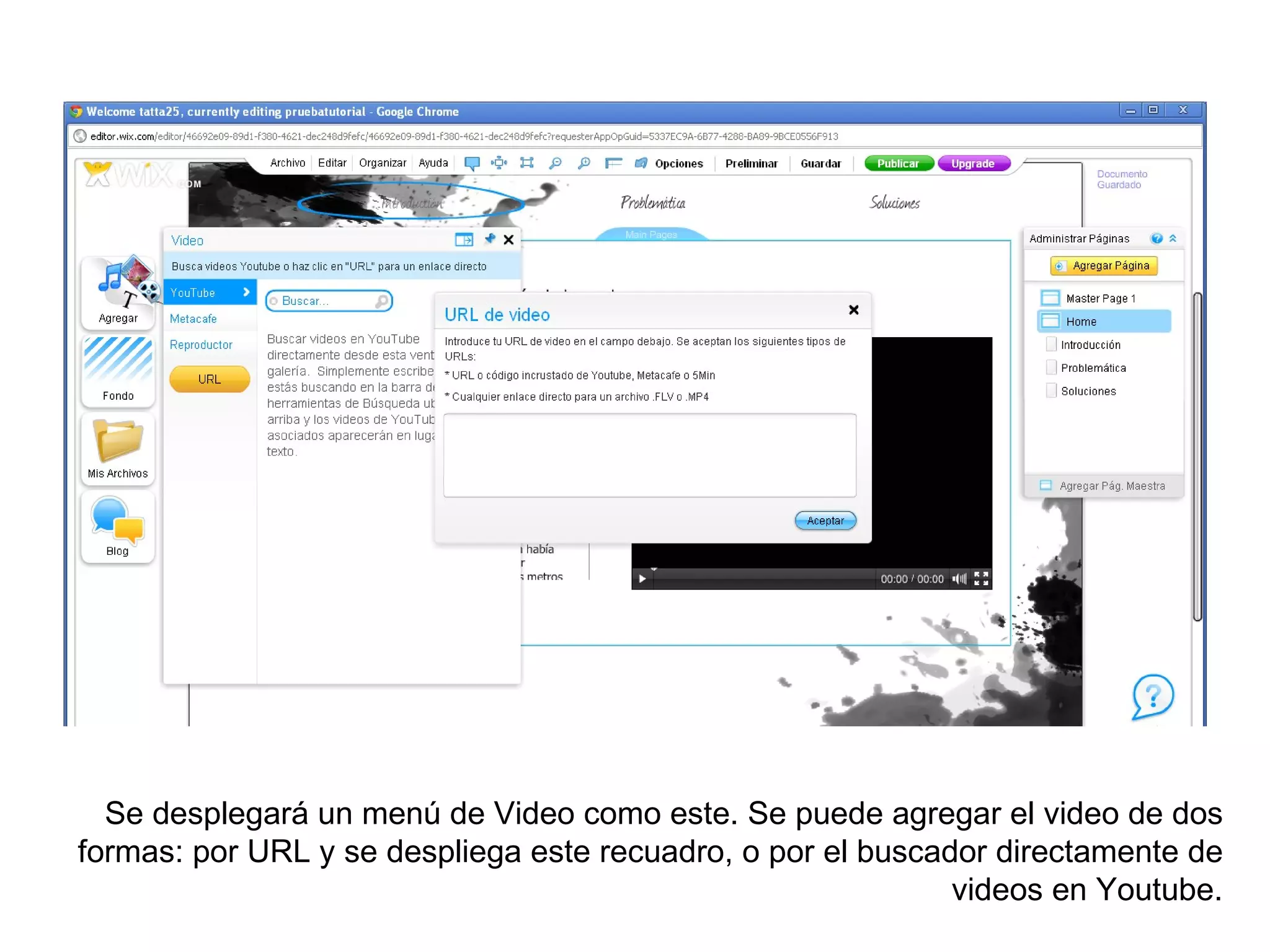 Se desplegará un menú de Video como este. Se puede agregar el video de dos
formas: por URL y se despliega este recuadro, o por el buscador directamente de
                                                             videos en Youtube.
 