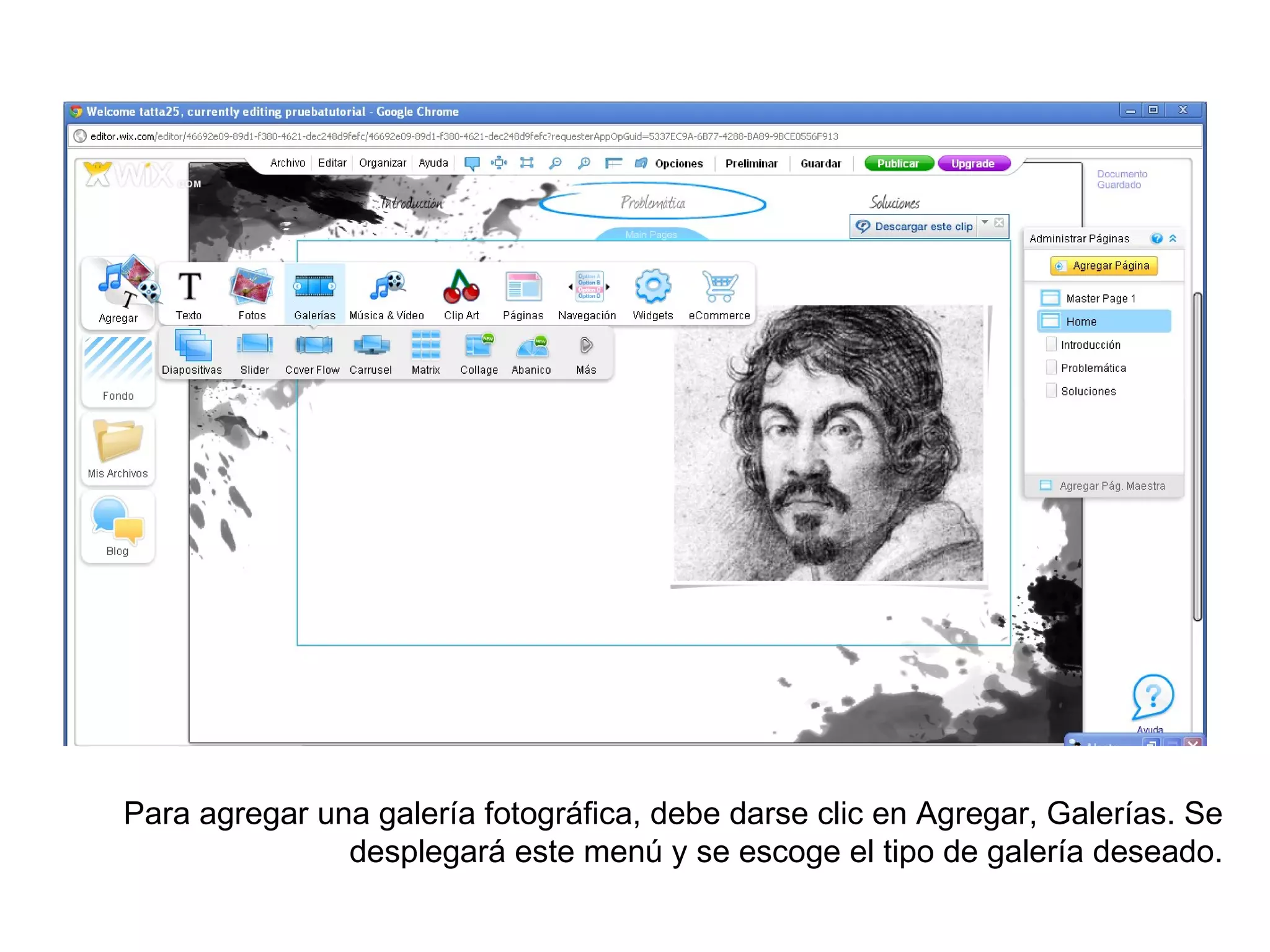 Para agregar una galería fotográfica, debe darse clic en Agregar, Galerías. Se
               desplegará este menú y se escoge el tipo de galería deseado.
 