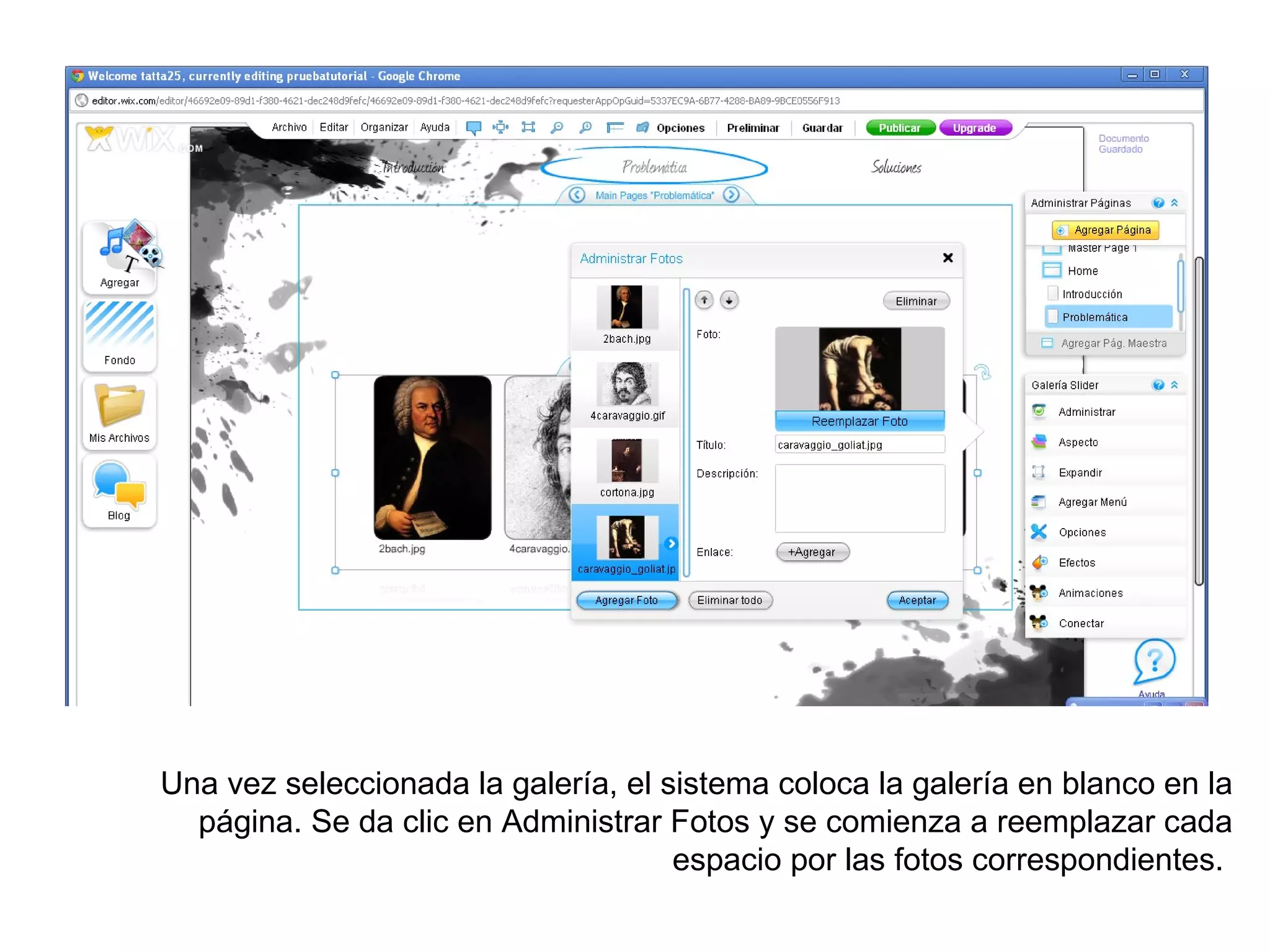 Una vez seleccionada la galería, el sistema coloca la galería en blanco en la
  página. Se da clic en Administrar Fotos y se comienza a reemplazar cada
                                     espacio por las fotos correspondientes.
 