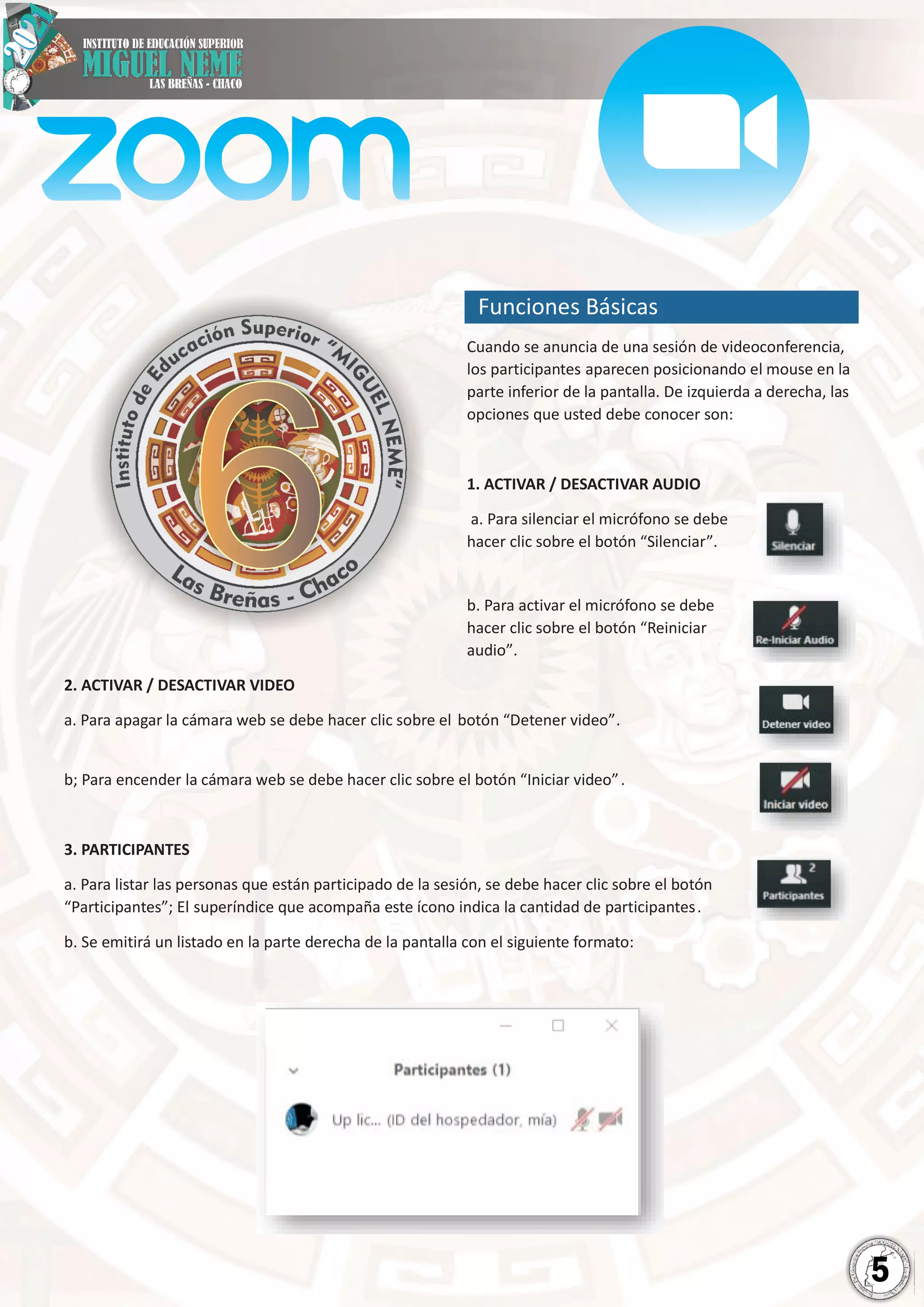 Tutorial de zoom | PDF