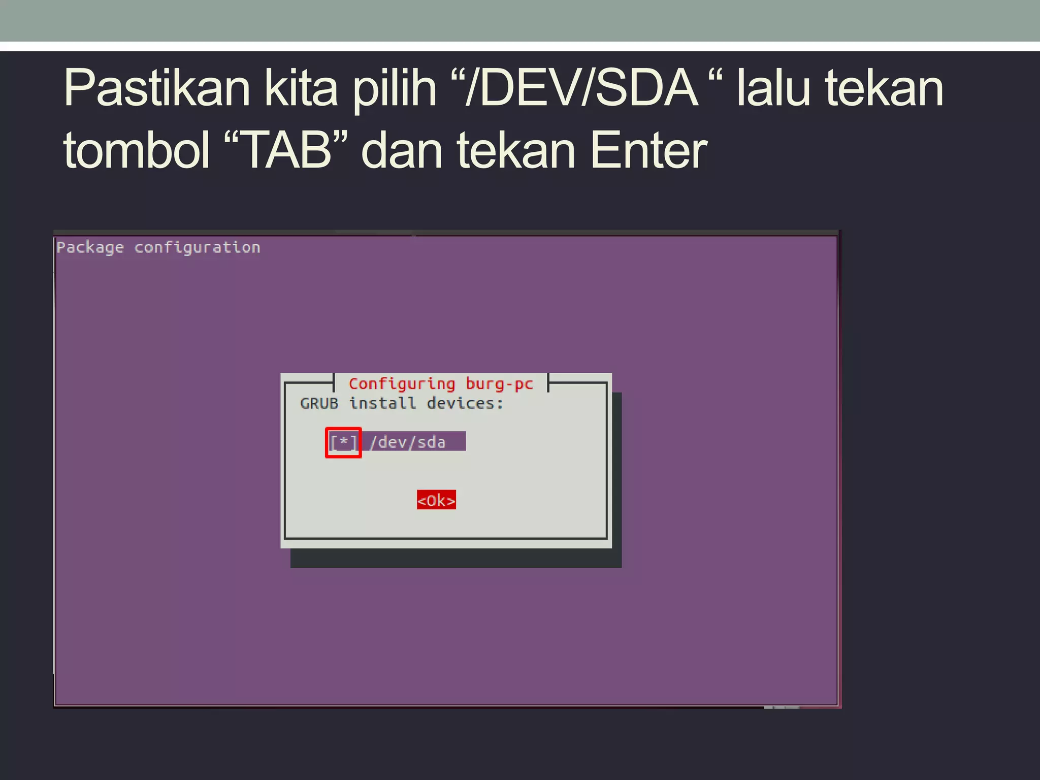Pastikan kita pilih “/DEV/SDA “ lalu tekan
tombol “TAB” dan tekan Enter
 